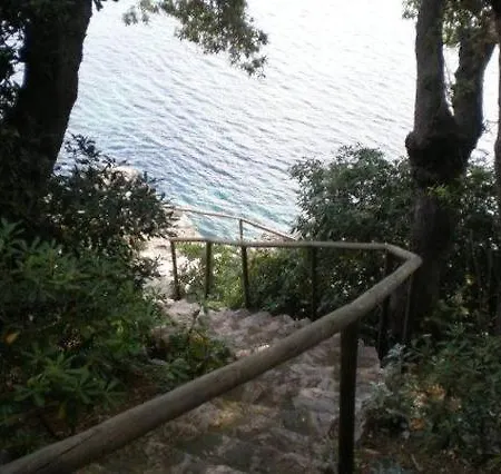 Del Mar プロッキオ